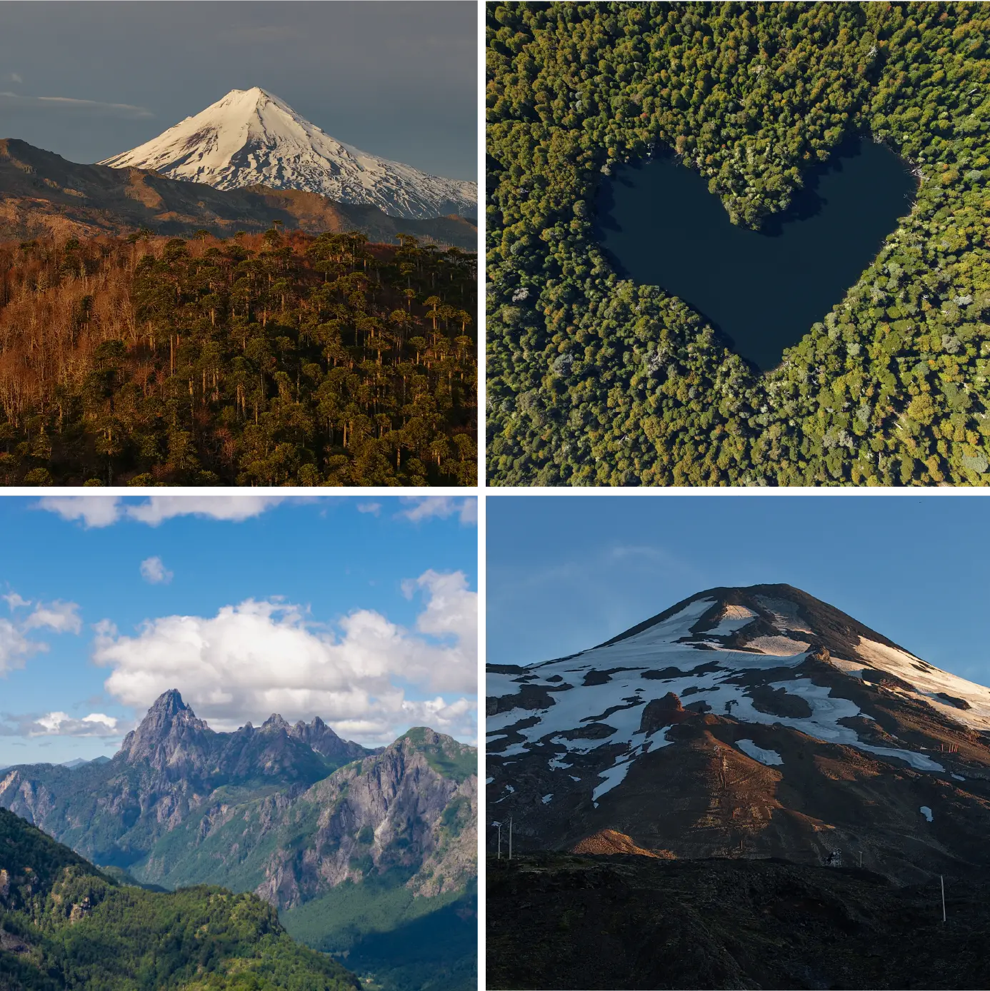 Fotografías artísticas La Araucanía — SurLab